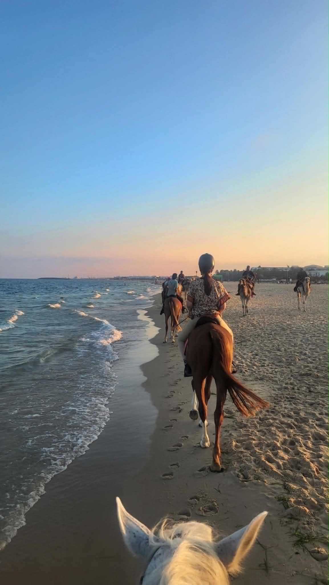 Beach Horseback Riding